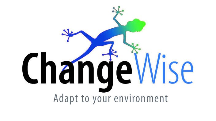 Change wise logo